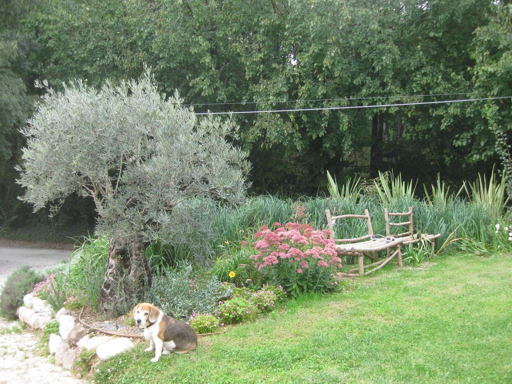 Agriturismo Campagnoletto Cavriana Εξωτερικό φωτογραφία