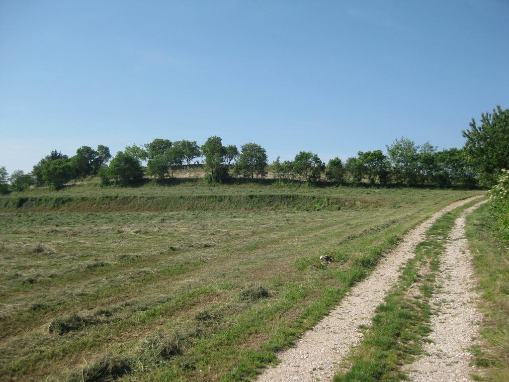 Agriturismo Campagnoletto Cavriana Δωμάτιο φωτογραφία