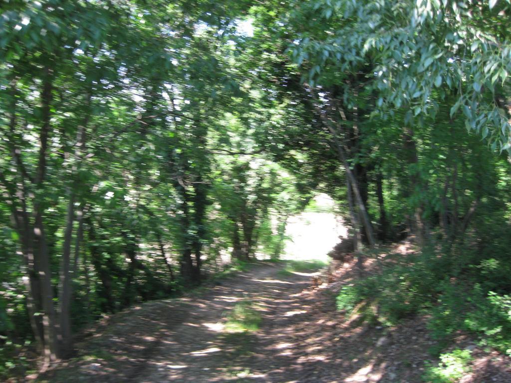 Agriturismo Campagnoletto Cavriana Δωμάτιο φωτογραφία