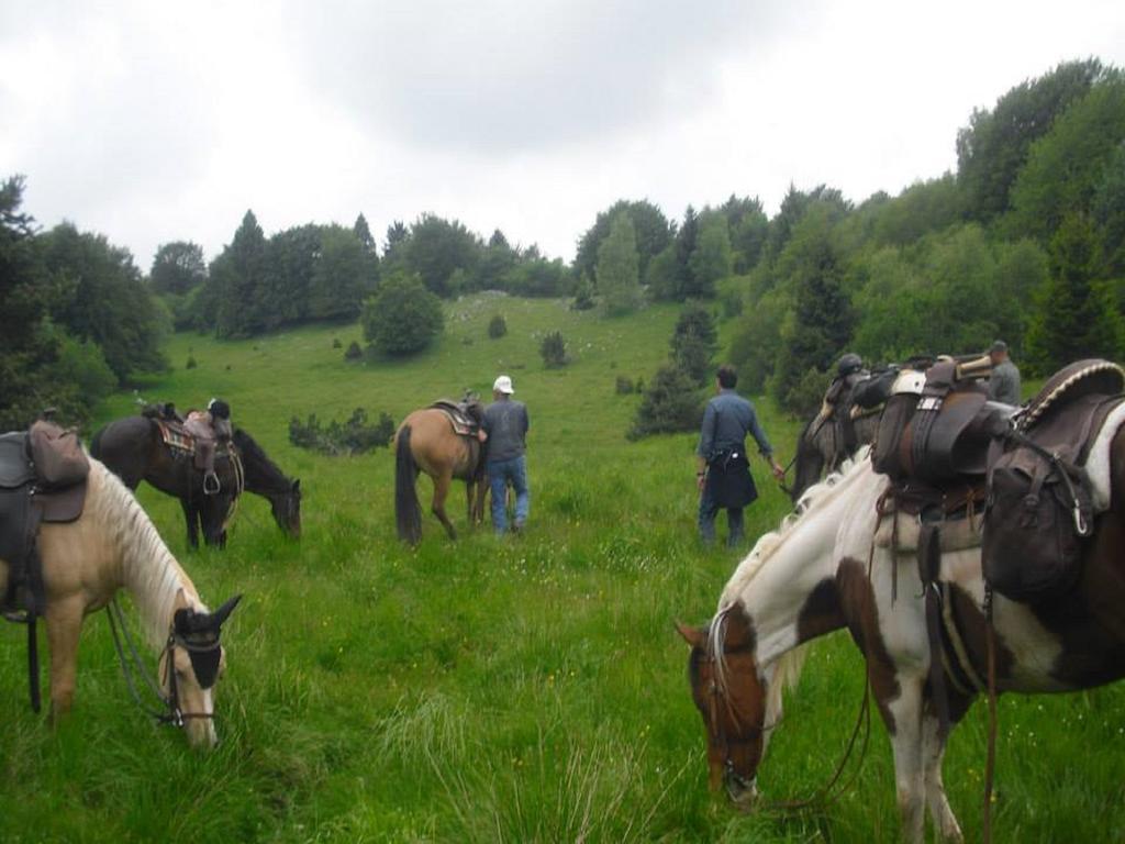 Agriturismo Campagnoletto Cavriana Εξωτερικό φωτογραφία