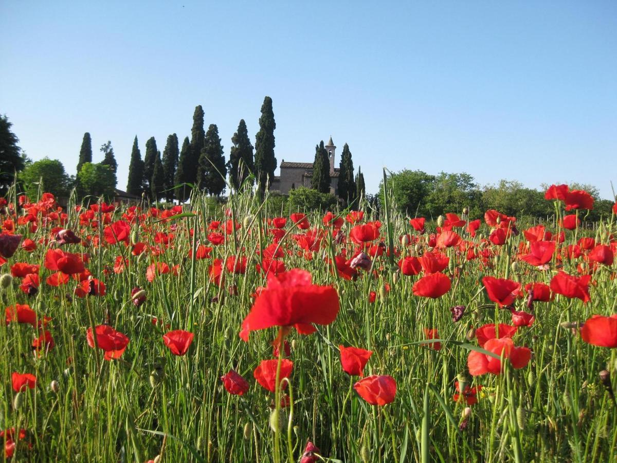 Agriturismo Campagnoletto Cavriana Εξωτερικό φωτογραφία