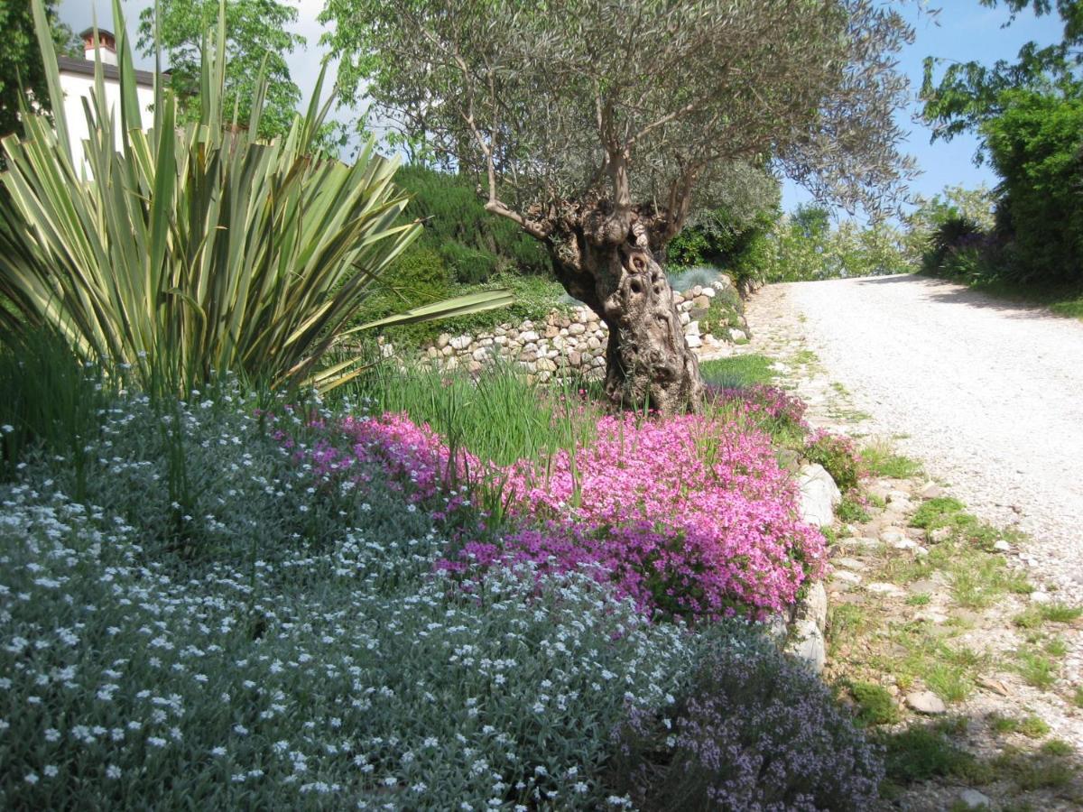 Agriturismo Campagnoletto Cavriana Εξωτερικό φωτογραφία
